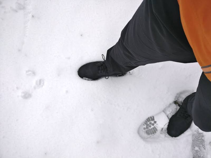 timberlands and snow