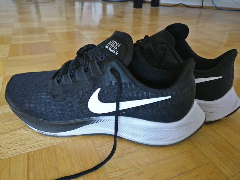 first nike pegasus